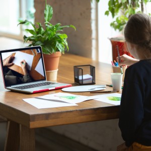 Avantajele predarii pe Optionale.ro: dezvoltarea unui business personal